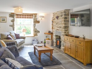 Fernseher, Kamin