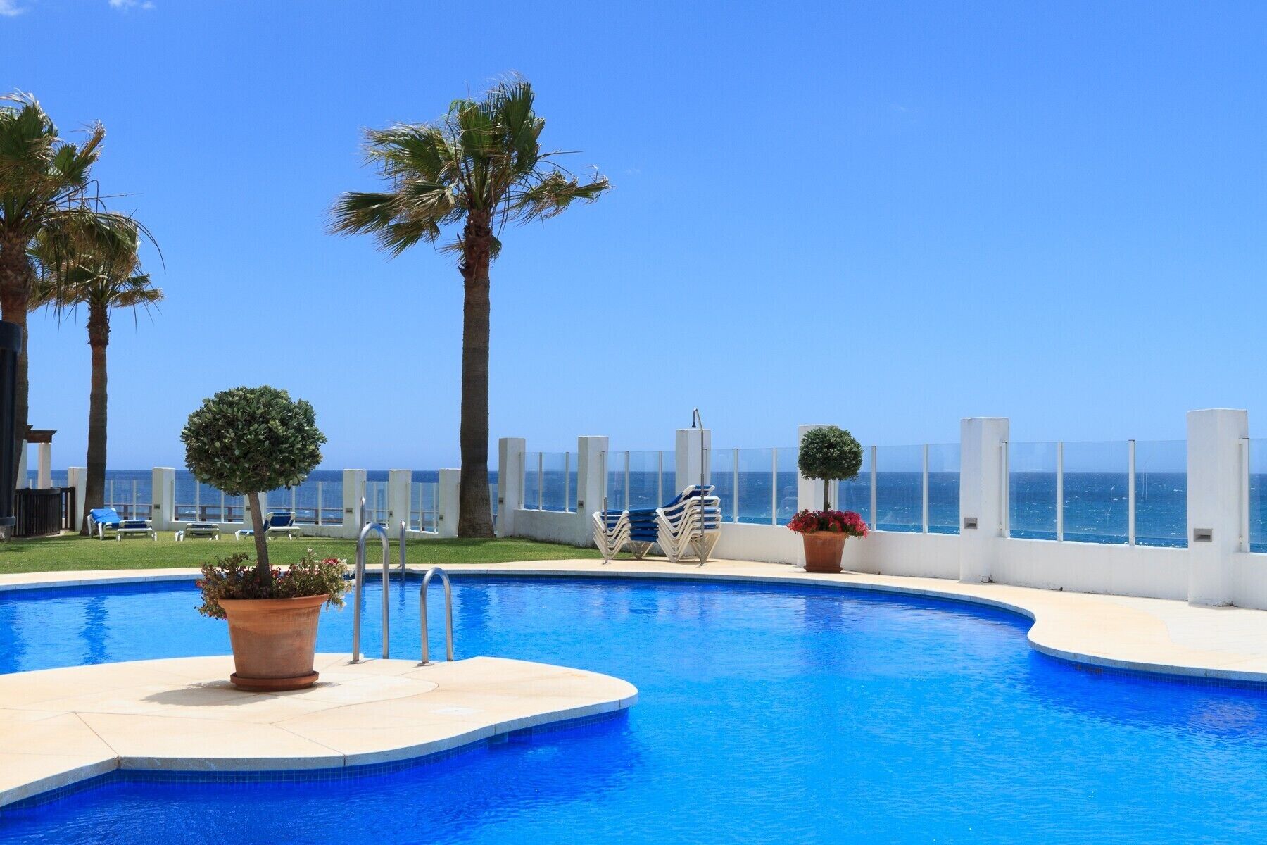 A swimming pool with a view of the ocean, surrounded by palm trees and lounge chairs.