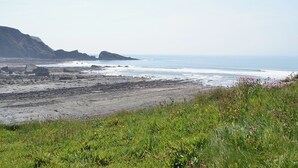 Un paysage côtier caractérisé par un terrain rocheux, une zone herbeuse au premier plan et une vue sur la mer et des falaises lointaines.