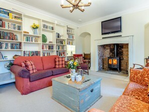 TV, fireplace
