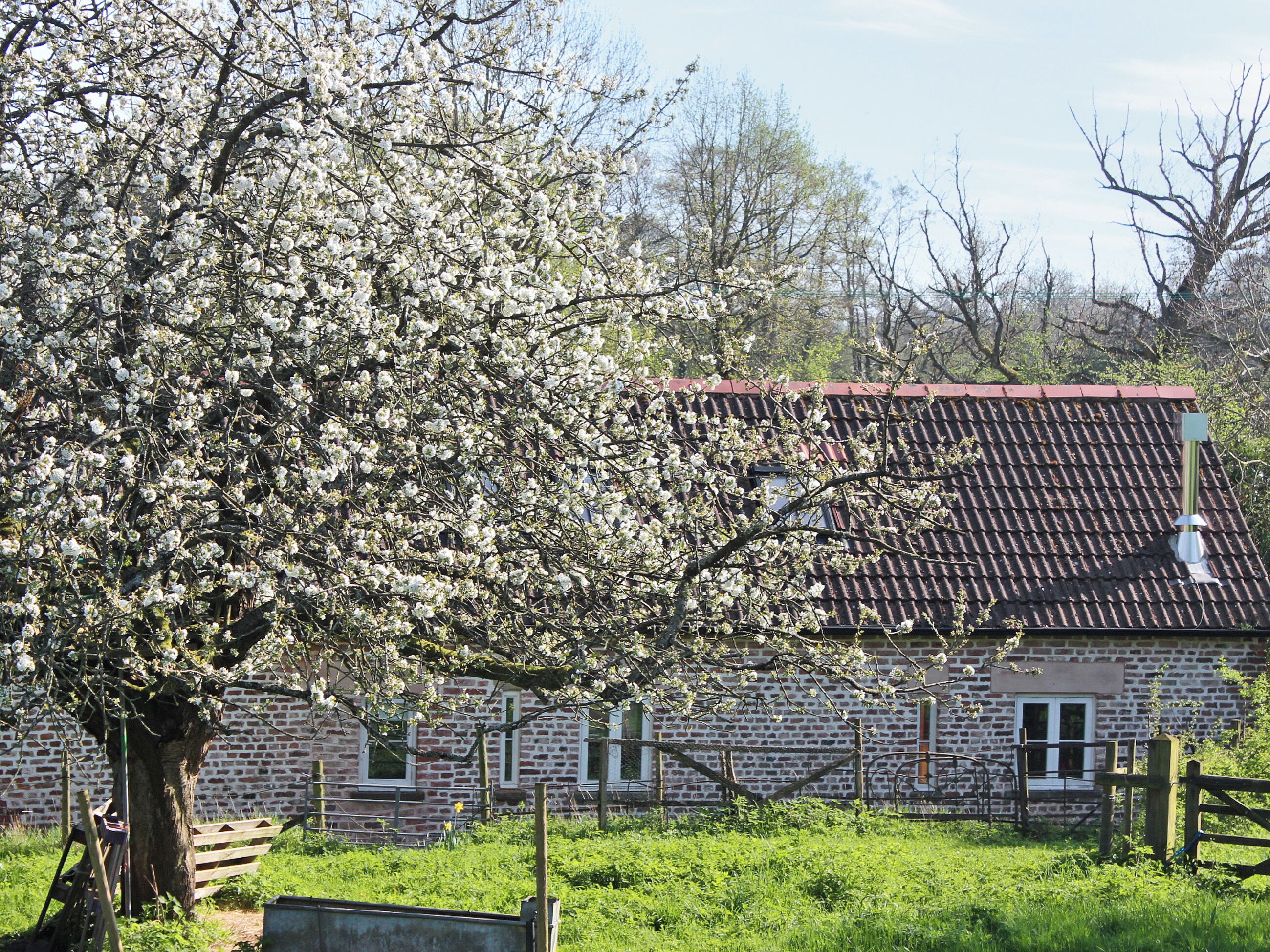 Ein Backsteinhaus mit Ziegeldach, umgeben von Grünpflanzen und einem blühenden Baum.