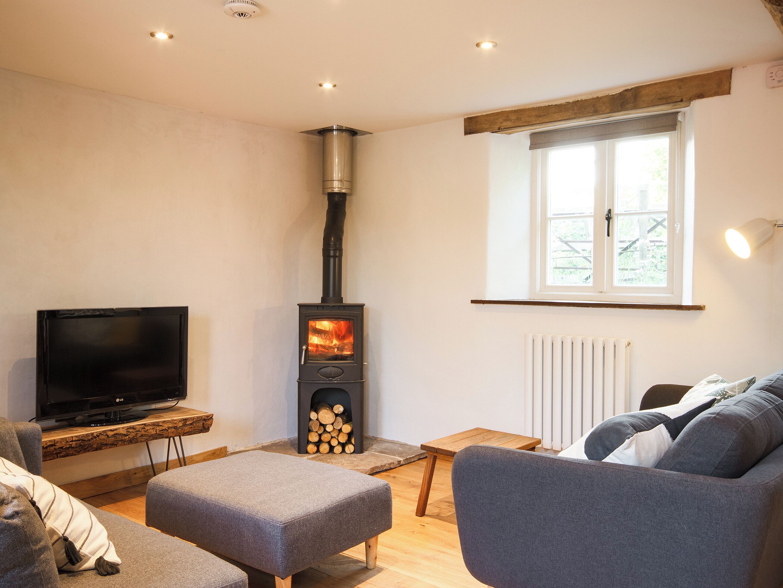 TV, fireplace