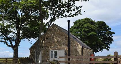 1 bedroom accommodation in Consett