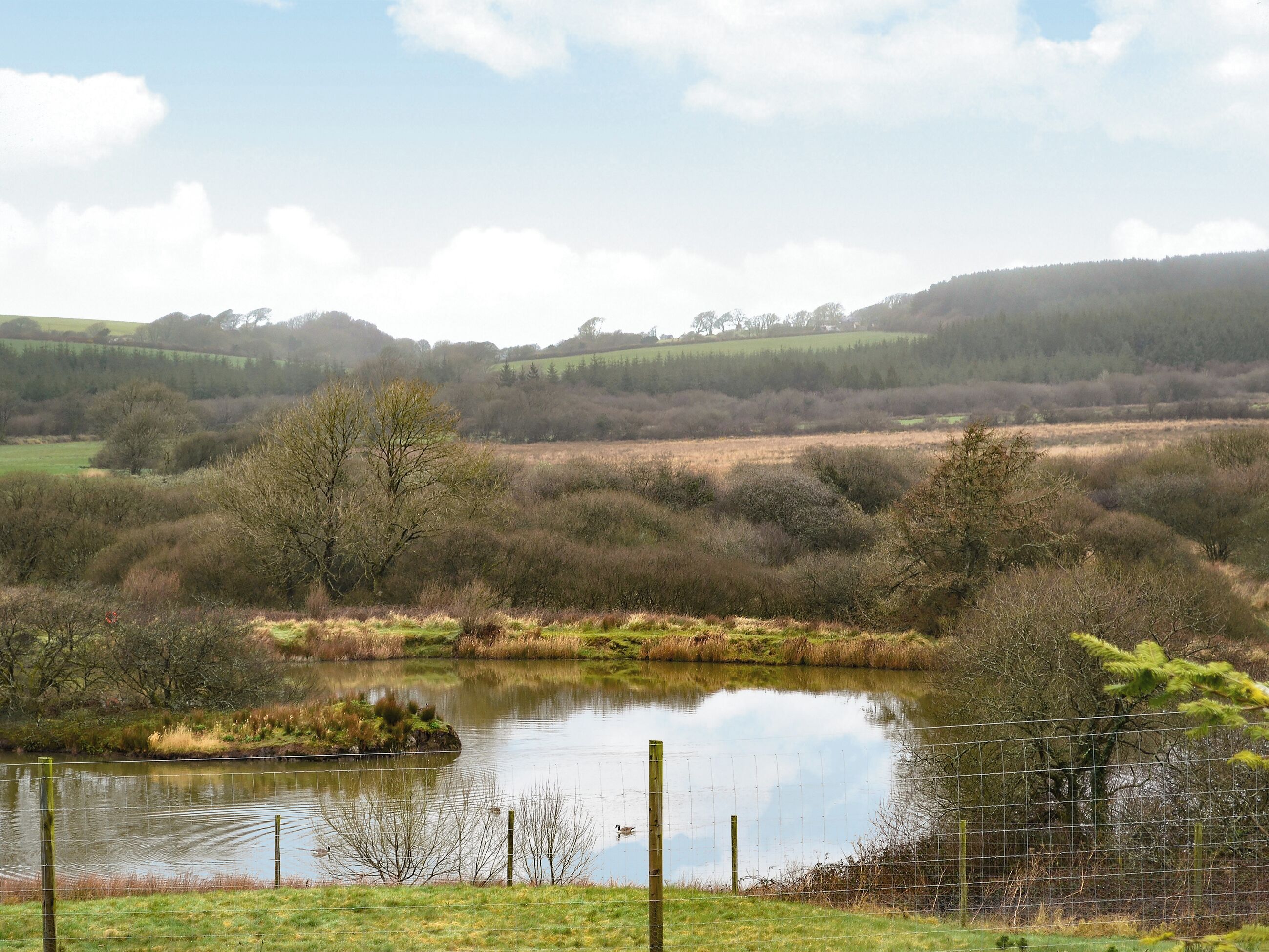 A serene landscape with a pond, surrounded by trees and open fields.