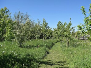 Overnatningsstedets område