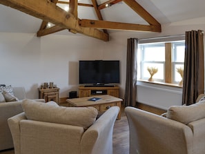 Fernseher