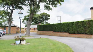 Une rue résidentielle bordée d’un mur de briques, d’une haie et d’un arbre.