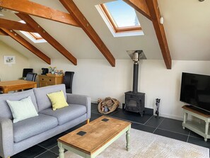 Fernseher, Kamin