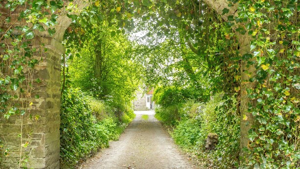 A narrow, cobblestone path flanked by lush greenery and stone walls, leading to a building at the end. - 1 bedroom accommodation in Lyth, near Wick (Lyth, near Wick)