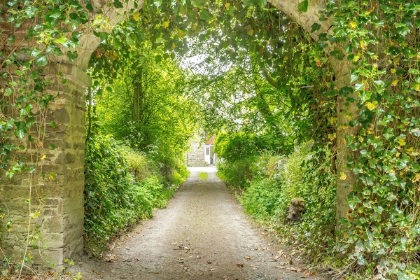 Surrounding area | The Cottage - Barrock House, Lyth, near Wick