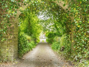 Unclassified image, 4 of 18, button