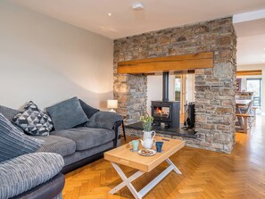 TV, fireplace - 5 bedroom accommodation in Llangoedmor, near Cardigan (Llangoedmor, near Cardigan)
