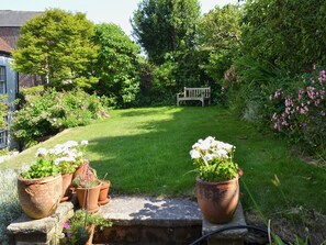 A garden with a lawn, potted plants, a bench, and a variety of trees and shrubs.