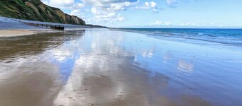 The Seahorses - UKC1067