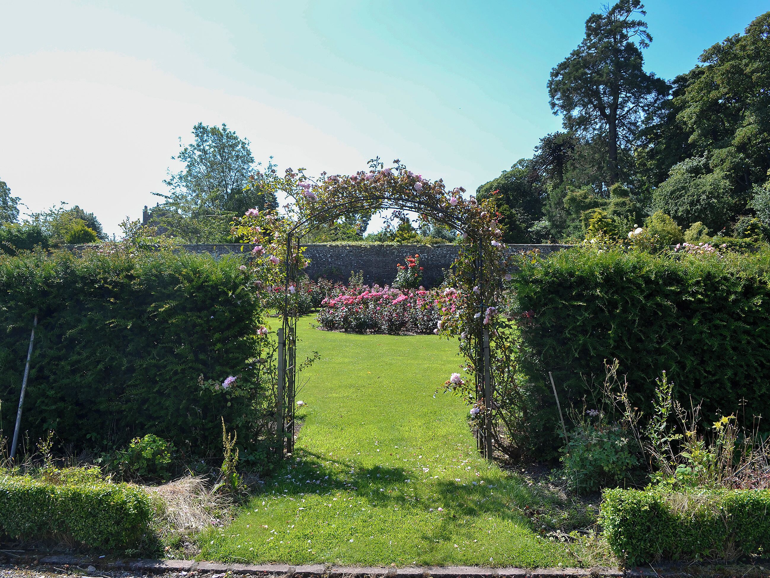 Ein Garten mit einem zentralen Torbogen, umgeben von üppiger Vegetation und blühenden Pflanzen.