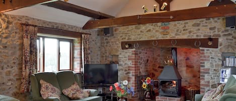 Fernseher, Kamin