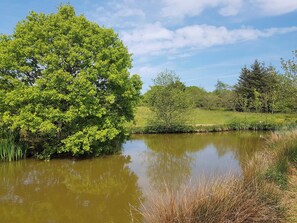 A serene pond surrounded by lush greenery and trees. - 2 bedroom accommodation in Woodacott, near Holsworthy (Woodacott, near Holsworthy)