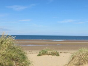 A beach with sand and grass, a clear sky, and the ocean in the background.