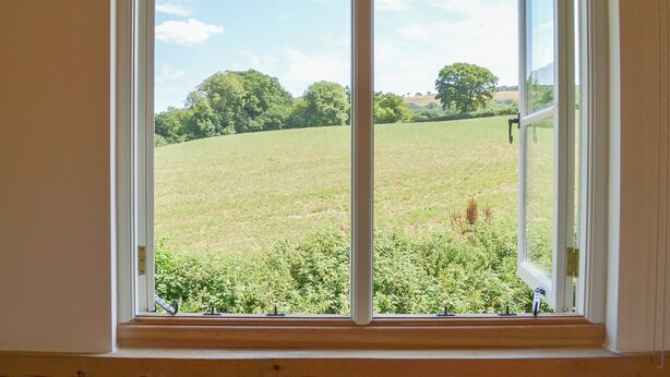 A window with a view of a green field and trees.