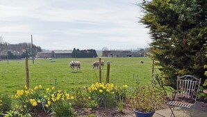 A fenced outdoor area with a garden bed of yellow flowers, a metal bench, and a clear view of a green field with sheep grazing. - 1 bedroom accommodation in Fraisthorpe, near Bridlington (Fraisthorpe, near Bridlington)