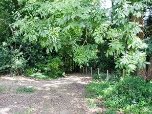 Overnattingsstedets uteområder