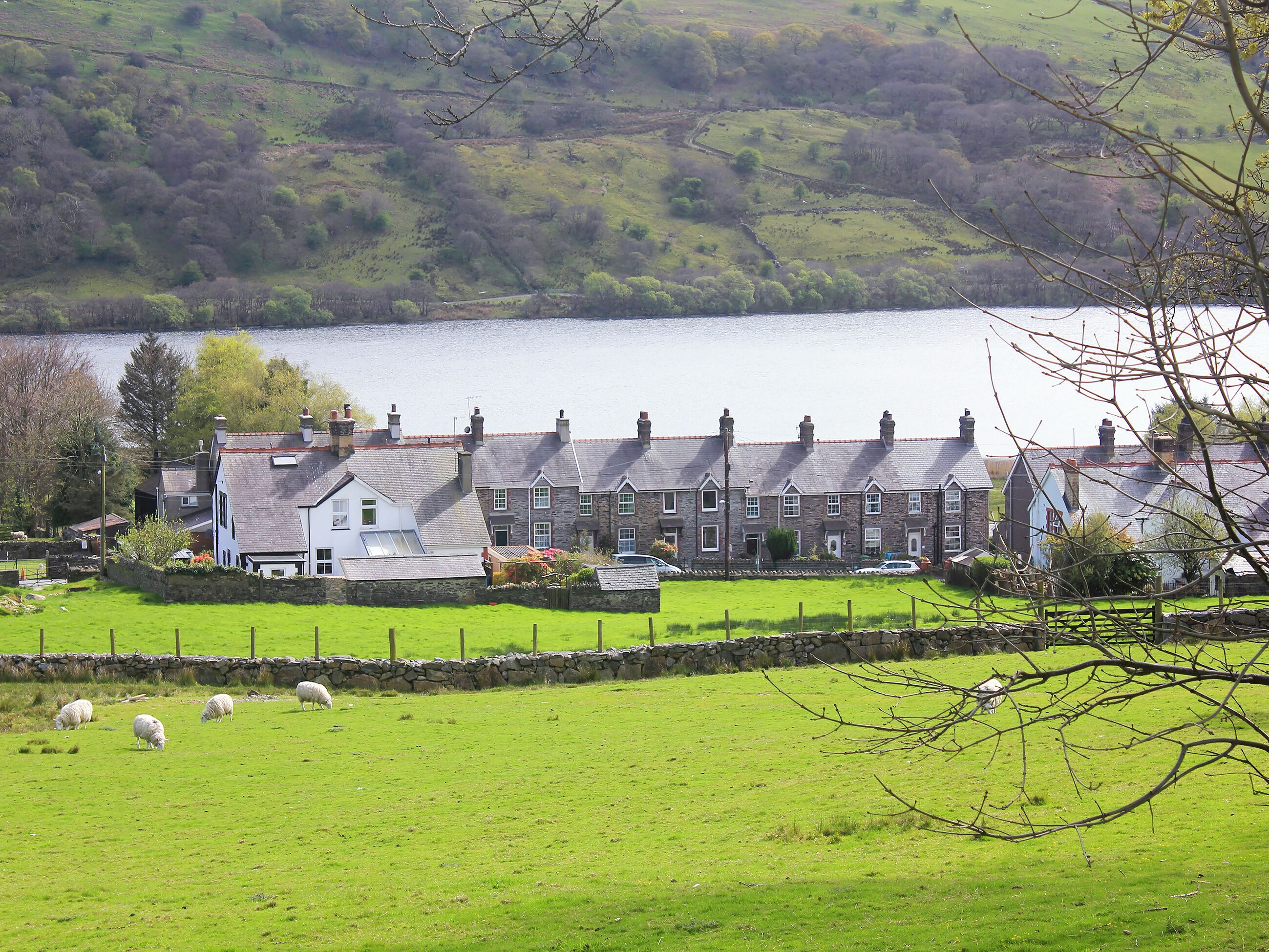 A row of stone houses by a lake with a grassy field in the foreground.