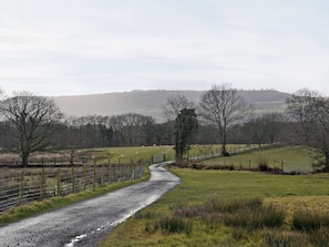 Une route de campagne sinueuse traverse un paysage verdoyant, bordé d’arbres et d’une clôture d’un côté.