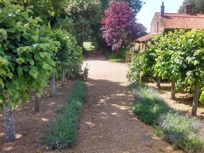 Property grounds - 3 bedroom accommodation in Skeyton, near North Walsham (Skeyton, near North Walsham)
