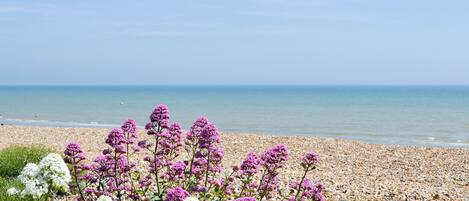 صيد الأسماك