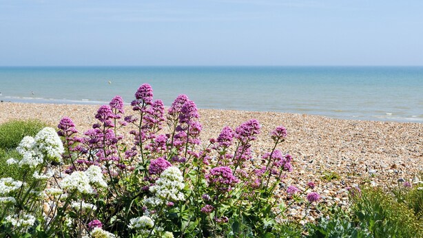 Fishing - 1 bedroom accommodation in Pevensey Bay, near Eastbourne (Pevensey Bay, near Eastbourne)
