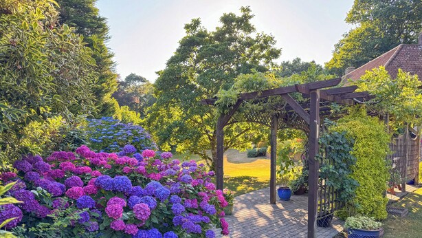 Un jardín con una pérgola, plantas en macetas y una variedad de flores.