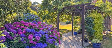 Terrein van de accommodatie