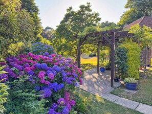 Un jardin agrémenté d’une pergola, de plantes en pot et de différentes variétés de fleurs.