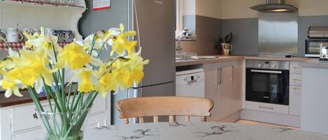 Diskmaskin, barnstol och frys