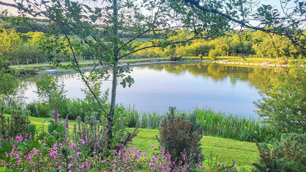 A serene pond surrounded by lush greenery and vibrant flowers. - 2 bedroom accommodation in Holsworthy, near Bude (Holsworthy, near Bude)