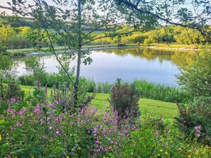 Área da propriedade