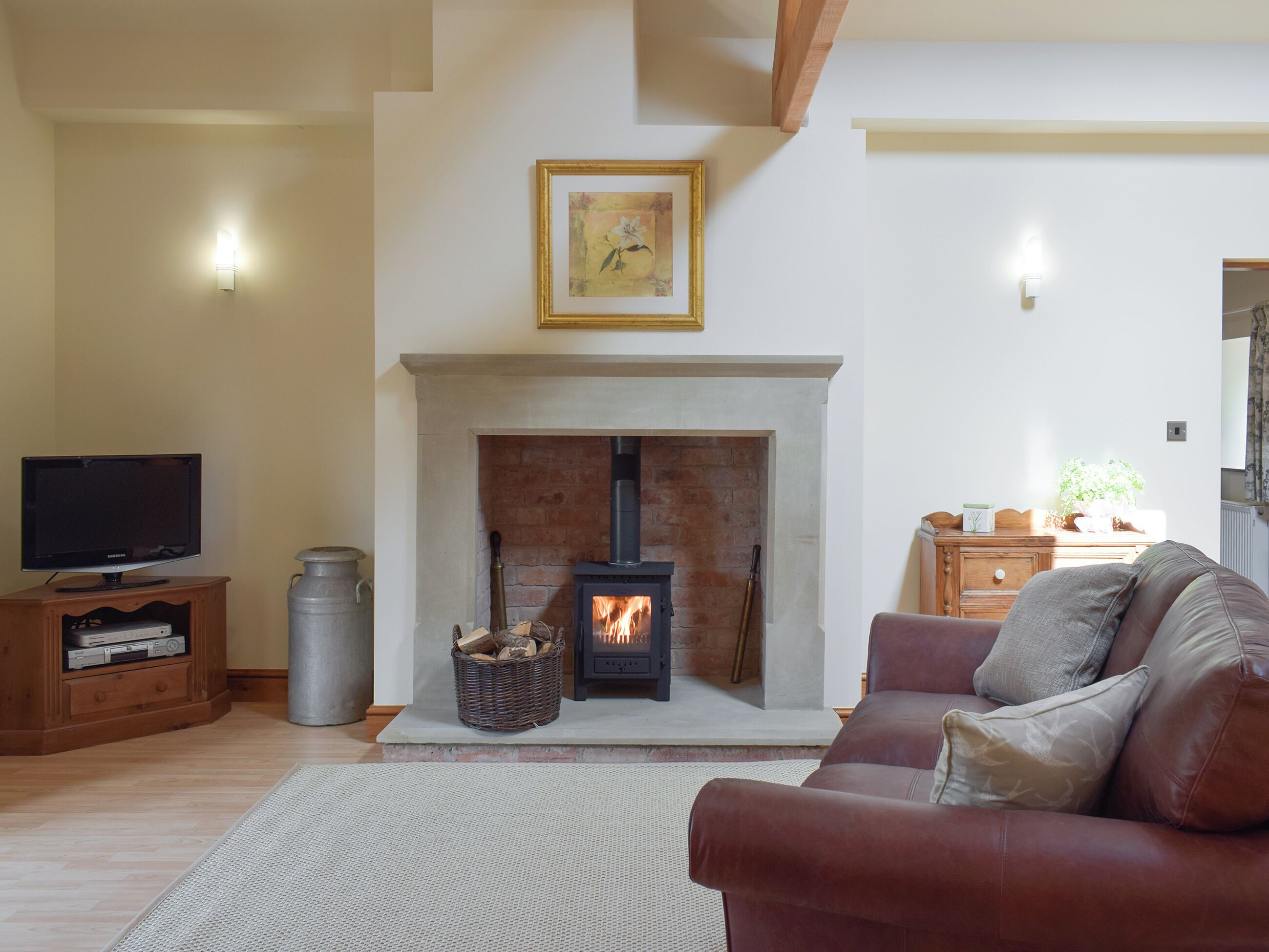 TV, fireplace