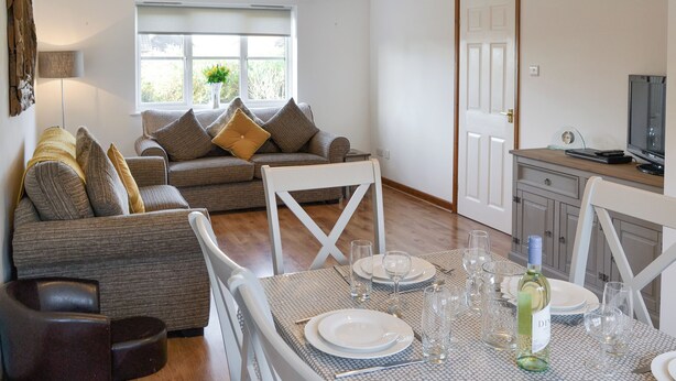 Een moderne woonkamer met een bank, een eettafel voor vier personen en een keuken met een televisie.