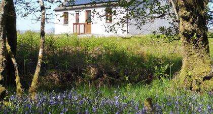 2 Schlafzimmer Unterkunft in Achnamara, near Lochgilphead
