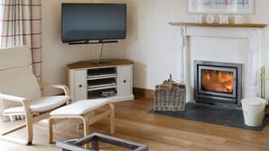 A living room with a television, a fireplace, a sofa, and a television stand. - 4 bedroom accommodation in Trusham, near Newton Abbot (Trusham, near Newton Abbot)