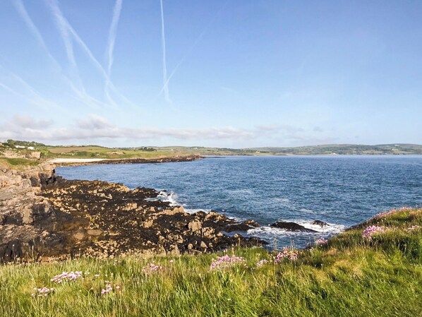 A coastal landscape with rocky cliffs, a grassy foreground with wildflowers, and a view of the sea and distant hills under a clear sky.