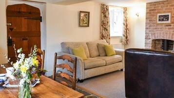 TV, fireplace, DVD player, books