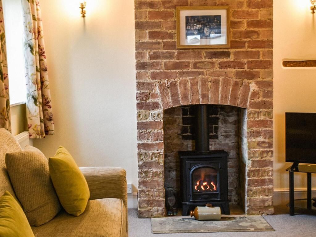 TV, fireplace, DVD player, books