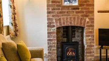 TV, fireplace, DVD player, books