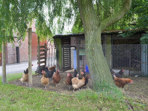 Overnatningsstedets område