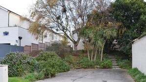 A residential driveway leading to a house with a number 6 sign, surrounded by lush greenery and a palm tree. - 4 bedroom accommodation in Pagham, near Chichester (Pagham, near Chichester)