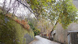 A narrow cobblestone street flanked by moss-covered stone walls and leaf-covered ground. - 3 bedroom accommodation in Hebden Bridge Birkenhead Cottage (Hebden Bridge Birkenhead Cottage)