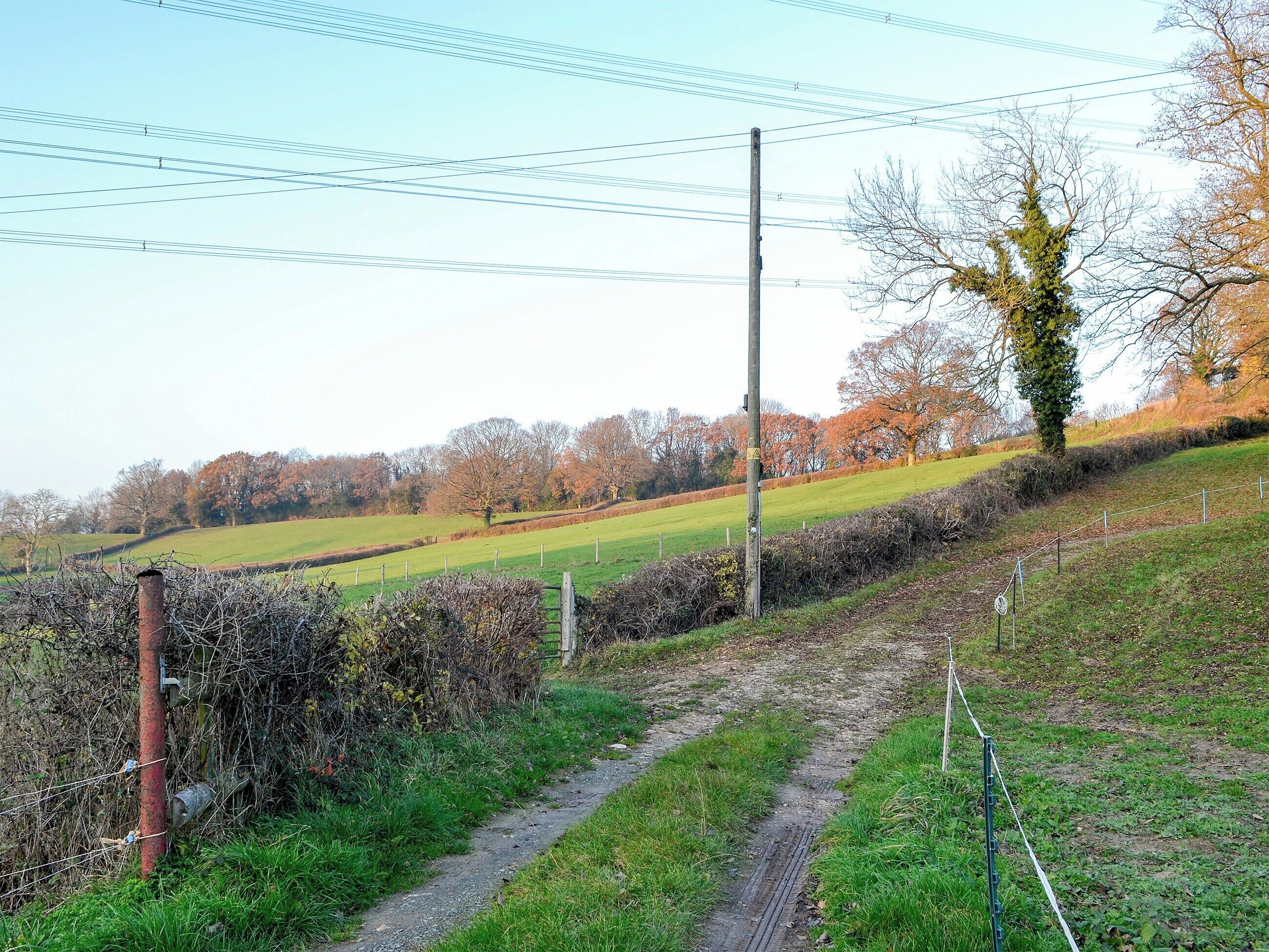 Ländliche Landschaft mit einem Feldweg, einem Zaun und einem Strommast.