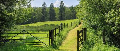 Terrein van de accommodatie