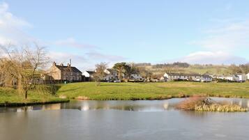A tranquil riverside village with houses and a pond.